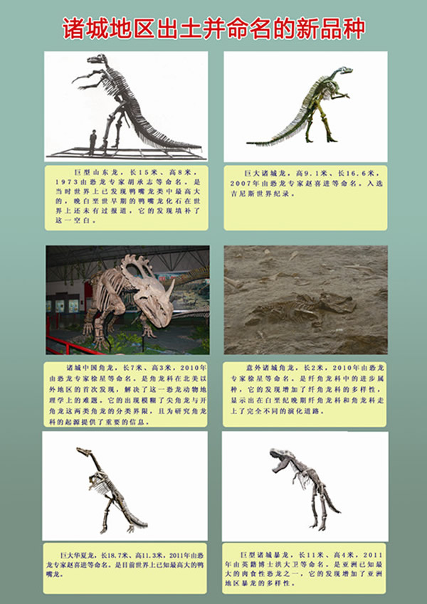 诸城地区出土并命名的恐龙新属种