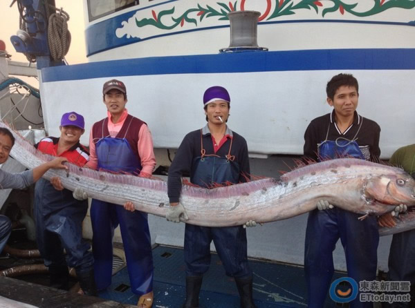 Ϸ洬ηᡷŲ㣬û뵽֮ͽ