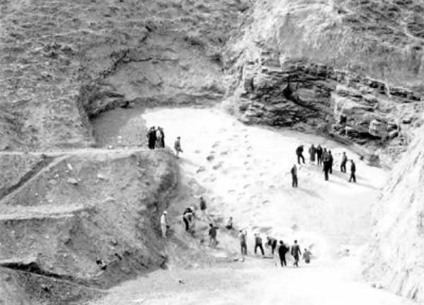 刘家峡地质公园中大量恐龙足印化石面临风化