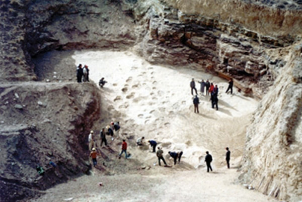 ����������ӡ��ʯȺ�ķ��ֶ�Ѱ��ʯ�;�����Ҫָ������