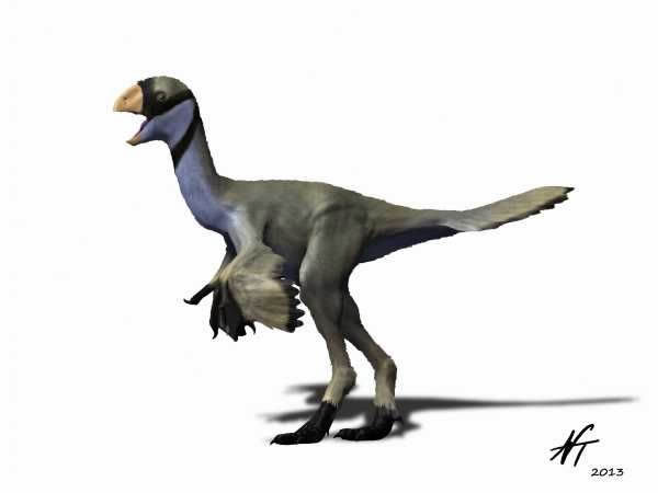 最小“窃蛋龙”——迷你豫龙的复原图