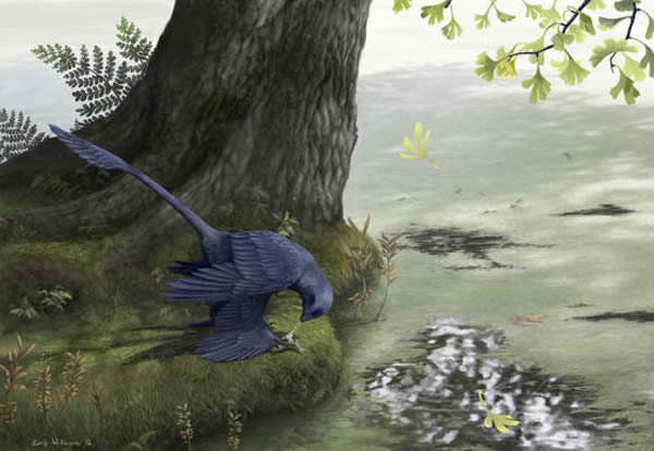 小盗龙吞食吉南鱼