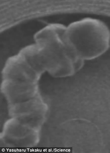 ͨ£Ӭ׳汩¶ջºܿͻˮ