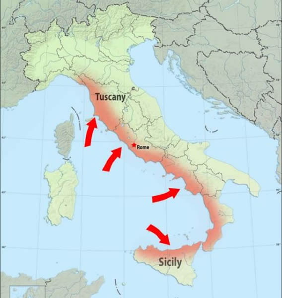 从北部的托斯卡纳区到南部的西西里岛,意大利沿岸的所有地方都发现了海豚尸体