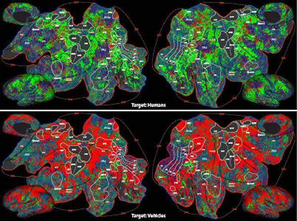 ��Ѱ��һ����ʱ�����и�����Բ�λ���뵽���������(��ͼ������ɫ��ʾ)����ͼ�еĺ�ɫ����������Ѱ�ҳ���ʱ�����Ե�ע���������ı仯