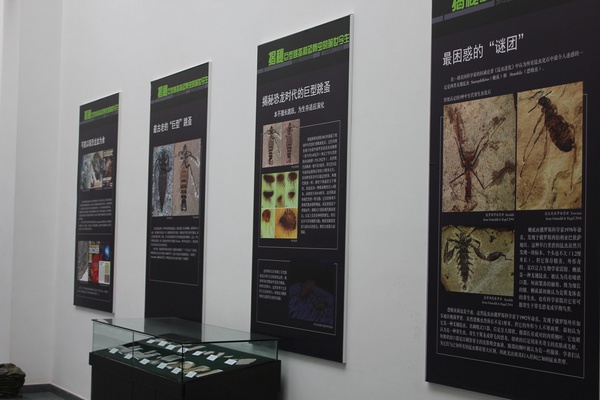 特展部分展示内容