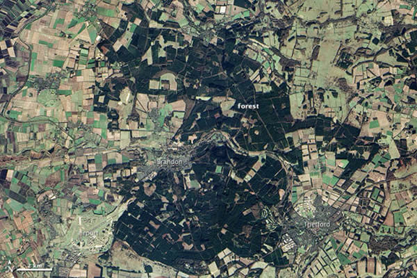 Ӣ�����ĵ͵����֡������ظ���ɭ��