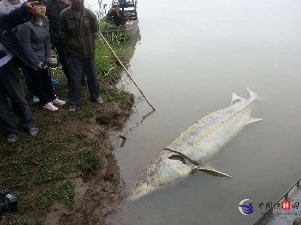 ��������̩�˶η������������л���