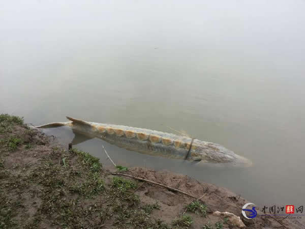 ��������̩�˶η������������л���