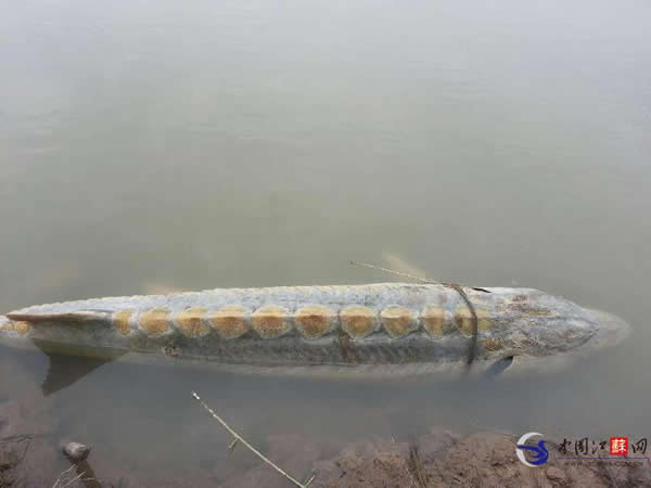 ��������̩�˶η������������л���