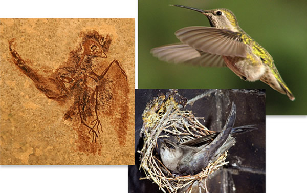 ����������Ƿֿ�������