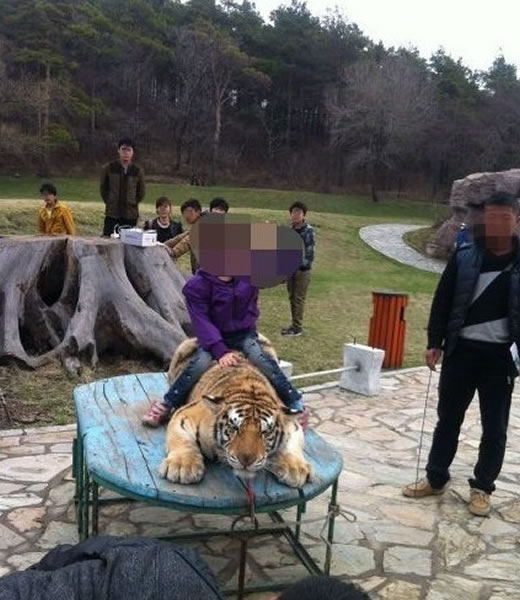 ����������԰���ǿ���ϻ����οͺ�Ӱ��