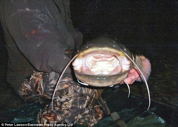 Ӣ��һ����԰���������23�����ش�����