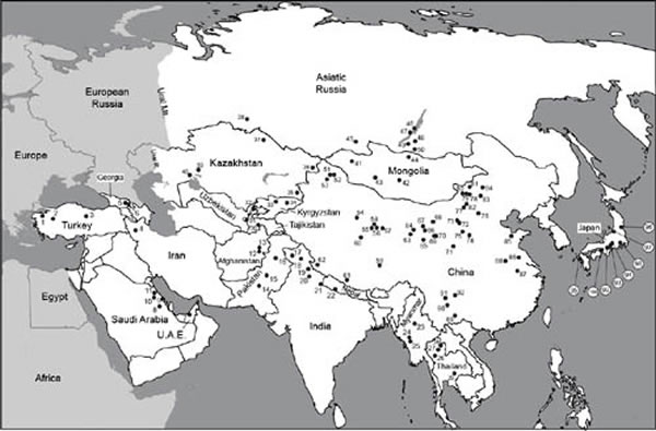 �����½��Ͳ��鶯�ﻯʯ�ص�