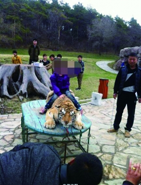 ����ʡ�����ж������������Ű���ϻ�