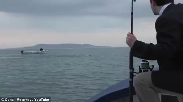 英国大学生在爱尔兰福伊尔河拍摄到巨大“水怪”?