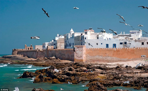 长曝光所拍到的海鸥群飞轨迹的图片