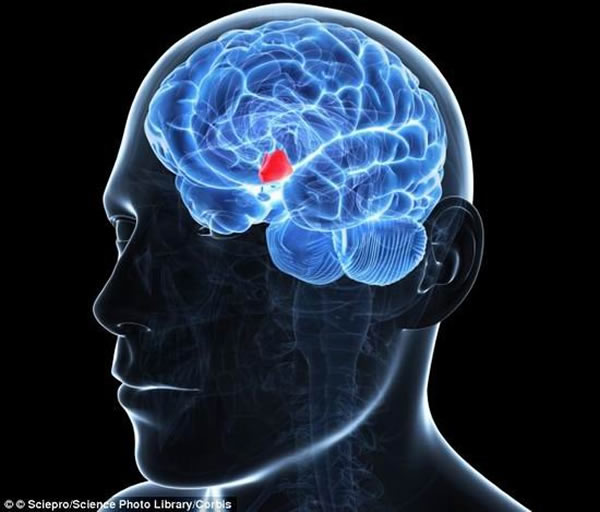 �о���Ա��ֹ�������ź�ͨ·(ͼ�к�ɫ����)�����ӳ�����20%����