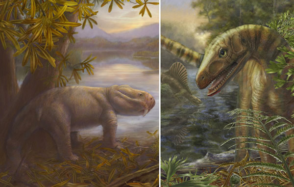 ��Ե�����ڴ�����󷴶���ö�������������ȥ