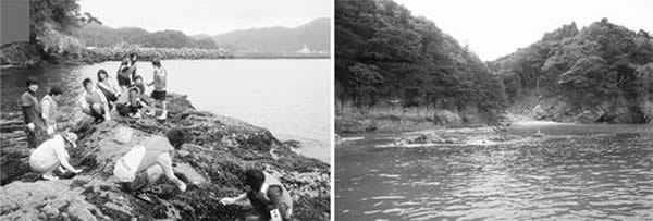 地震之前,学生在露出海面的岩石上研究潮汐带生物(左)。震后由于地面下沉,这里的岩石被永久地淹没(右)。