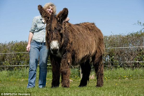 Ӣ��һ��Ů�����������������������ͼ¿