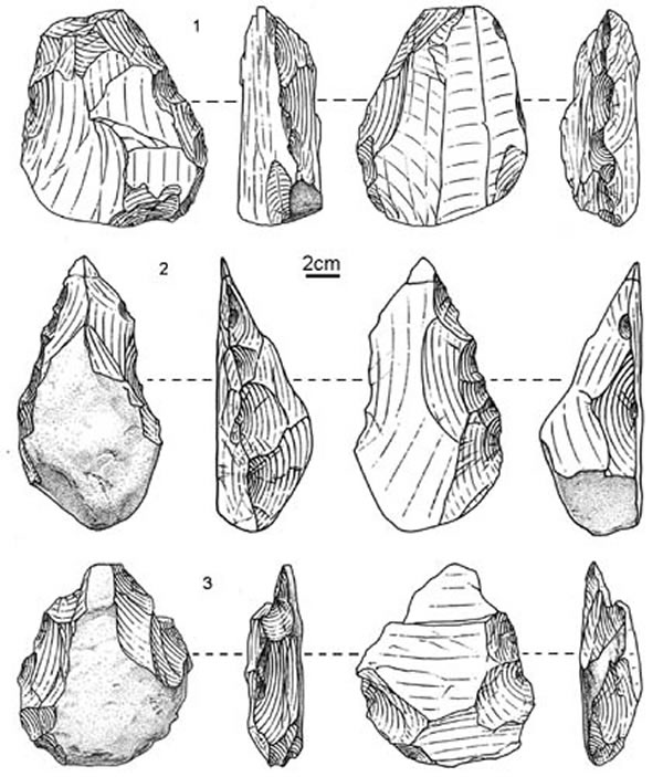 果茶场II遗址出土的手斧(许勇绘制)