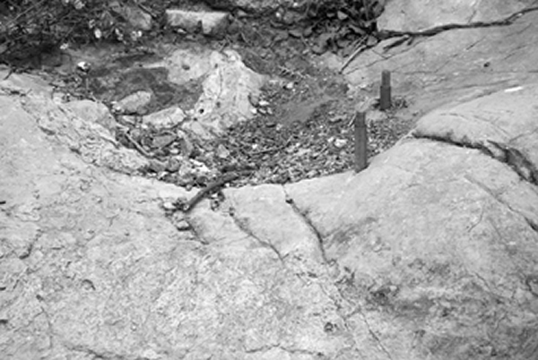 15����ǰɳ��ɽ�ż�