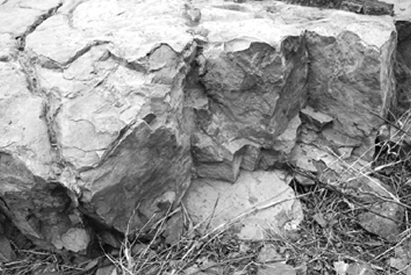 ���������������һ�����������ʯ