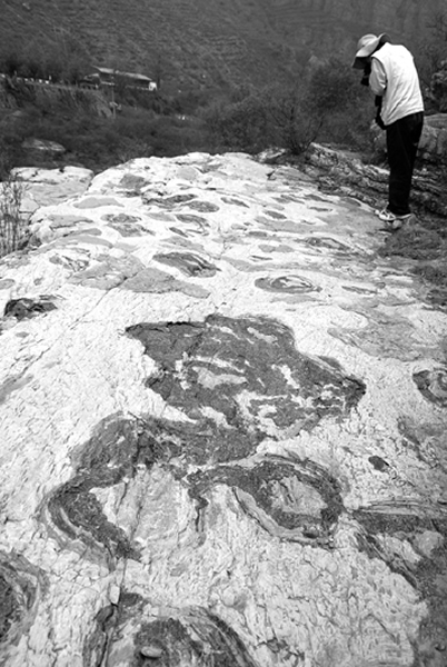 ��ʯ��Զ������������ӡ��