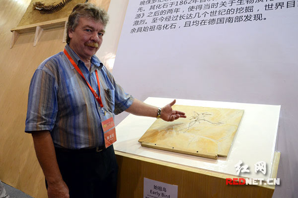 ���������ղص�ʼ����ʯ