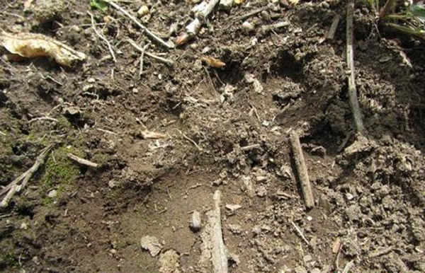 ��������ɽ�������µ��㼣