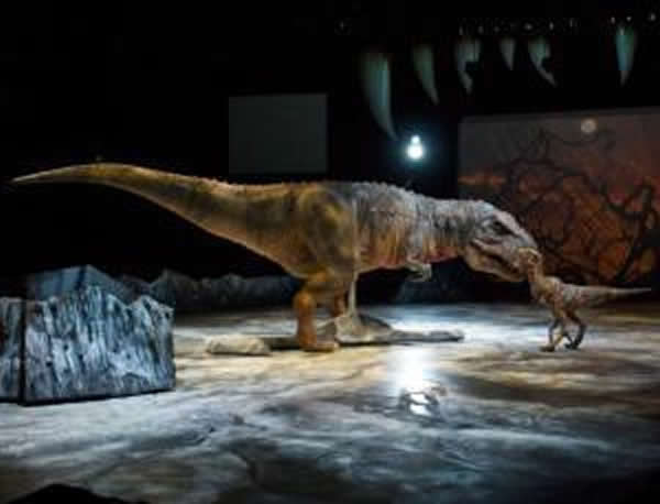 最新研究表明雄性恐龙可能没有承担起抚养孩子的责任