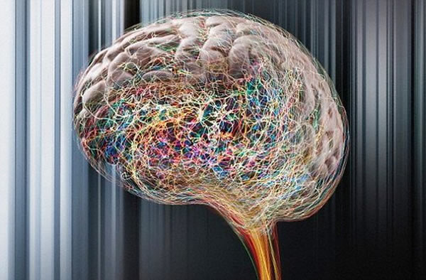 研究人员发现癫痫发作可破坏神经系统功能,影响掌控社交能力的大脑组织,表现出孤独症患者特征