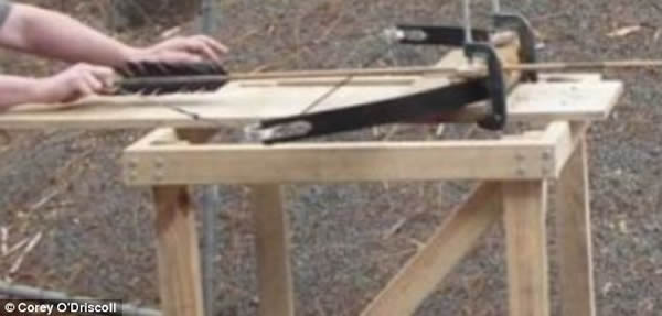 通过利用校准的十字弓,考古学家复制了石头尖端长矛在动物骨骼上造成的压痕。他们发现在9万年前的动物骨骼上存在同样的压痕。