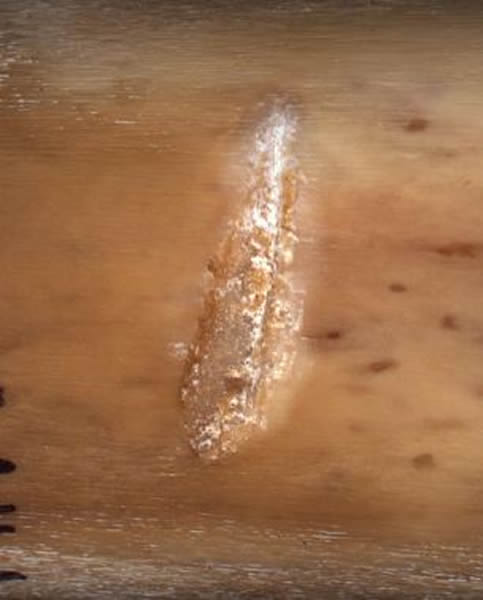 利用最新技术,考古学家发现了抛射或者投掷长矛产生的印迹。