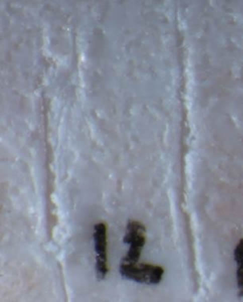 这种抛射印记与简单的刺或切割骨骼产生的痕迹是不同的。