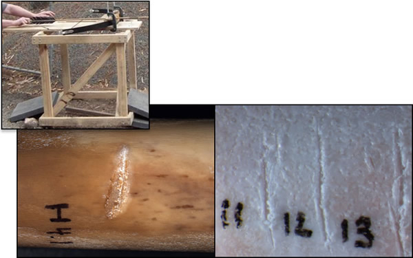 һλĴǿѧϣʬ巢ʯʱͶĸƷͷ£ϵͶۼкۣ£Բͬ