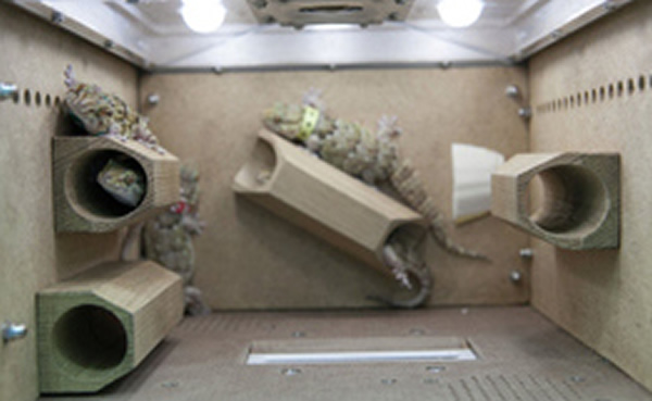 ��Bion M1�����������ڲ�