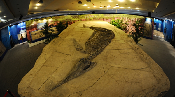 萨斯特鱼龙化石