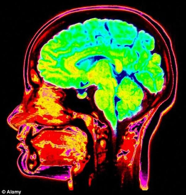 ѧΪڴԼϸζŵǰϸ֮ؼ⵽ƻ