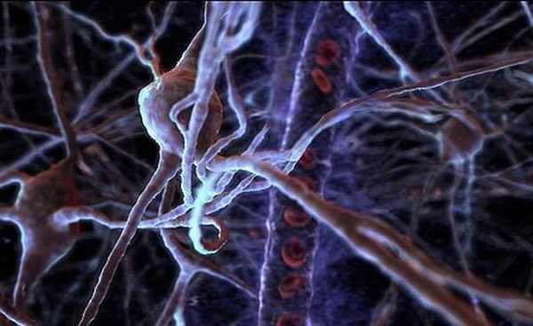 ֮£ͯɳ֮Լ˵ĴϸȶӶܹܺõش洢