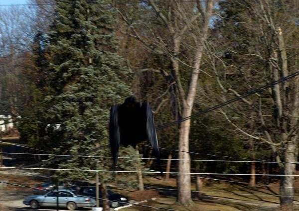 美国西弗吉尼亚州的天蛾人