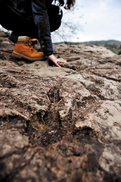 恐龙足迹