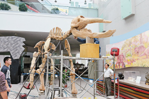 ���һǧ�����������ʯ����������Ȼ�����