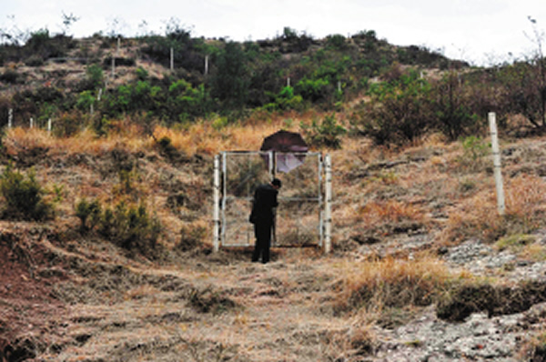 用钢丝网、水泥柱圈起来的化石群保护区