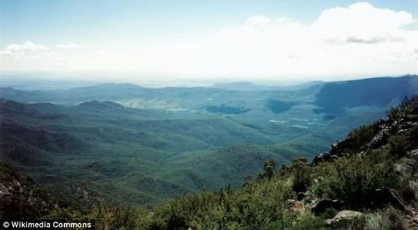 栖息两种新物种的卡普塔尔山脉丛林