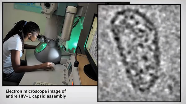 �����������ΪHIV�����о�������ϣ��