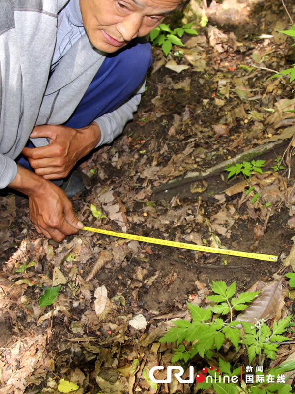 ��������ɽ·��