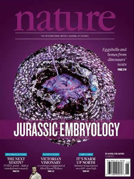 《中国早侏罗纪恐龙胚胎学含有机残留物的证据》登上《自然》封面