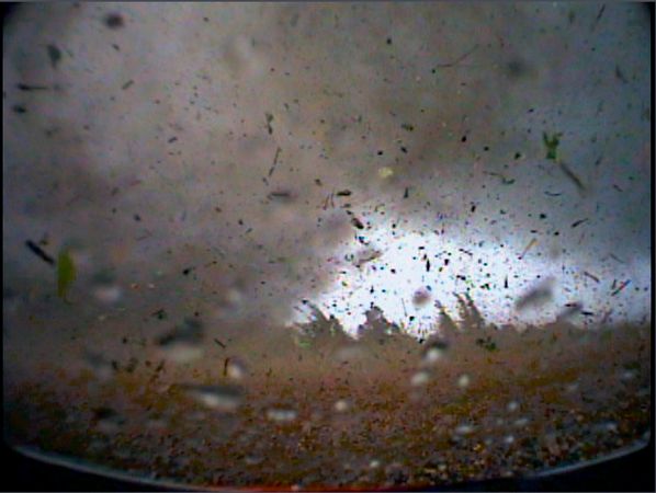 “龙卷风猎人”蒂姆·萨马拉斯